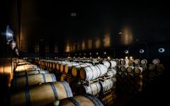 Tenuta Guado al Tasso Winery Image