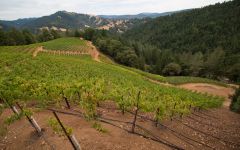 Edmeades Perli Vineyard Winery Image
