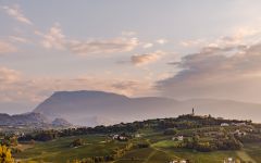 Santa Margherita Winery Image