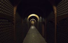 Faustino Winery Image