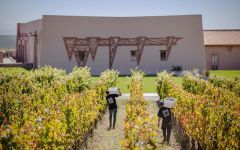 Flechas De Los Andes Harvest Winery Image