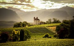 St. Michael-Eppan Schulthaus Manor_ Winery Image