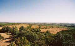 Domaine Lafage Terraces Winery Image