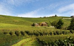Beni di Batasiolo Bussia Bofani Winery Image