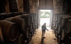 Lustau Sergio Martinez, Cellar Master Winery Image
