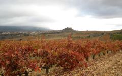 Sierra Cantabria Winery Image