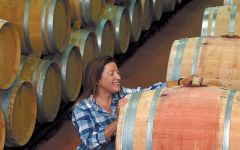 Bodegas Nekeas Winery Image