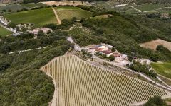 Mastrojanni Estate Winery Image