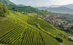 Elena Walch Tramin with View at Kastelaz Winery Image