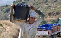 Bodegas Ramirez de la Piscina Winery Image