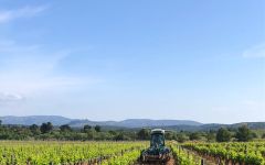 Clot del Pila Clot del Pila Farming Winery Image