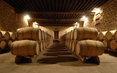 Chateau de Pez The cellars of Chateau de Pez Winery Image