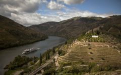 Graham's Winery Image