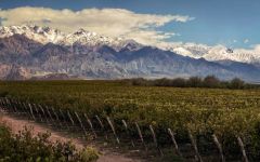 Trivento Summertime in Mendoza  Winery Image