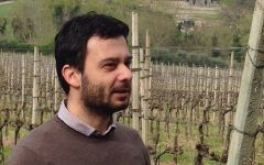 Garofoli  Winery Image