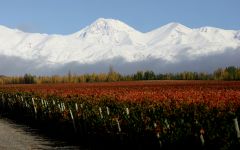 Bodegas Caro Breathtaking Sights at Boegas Caro Winery Image