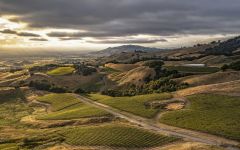 MacRostie Nightwing Vineyard Winery Image