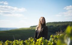 Henriot Alice Tétienne Winery Image