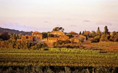 Domaine d'Aussieres Chateau d'Aussieres Village Winery Image
