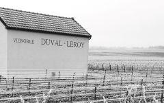 Duval-Leroy Winery Image