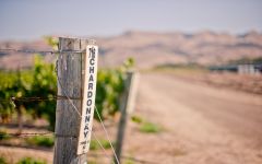 Chamisal Vineyards World Class Chardonnay Winery Image