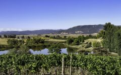 The Calling Keller Estate Vineyard Winery Image
