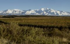Crios de Susana Balbo Crios Vineyards Winery Image