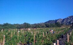 Bila-Haut by Michel Chapoutier Winery Image