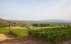 Chateau d'Esclans Estate Vineyard Winery Image