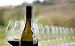 Stoller Family Estate Reserve Pinot Noir bottle with glasses Winery Image