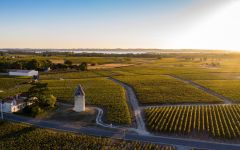 Chateau Arnauld Vineyards Winery Image