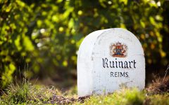 Ruinart Winery Image