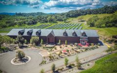 Roth Estate Roth Estate Solar Panels Winery Image