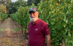 Patent Wines Tom Rinaldi Winery Image