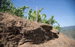 Bodegas Avancia Winery Image