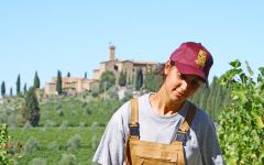 Castello Banfi Hand Harvesting Winery Image