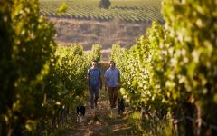 Amayna Diego Rivera, Winemaker Winery Image
