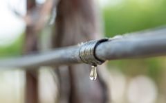Klipsun The Tension of Soil and Water Winery Image