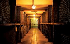 Bertani The Cellar Winery Image