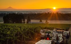 Argyle Lonestar, Eola-Amity Hills Winery Image