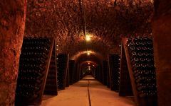 Champagne Mandois The Mandois Cellars Winery Image