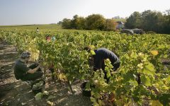 Pierre Chainier  Winery Image