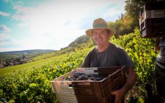 Domaine Roux Pere & Fils Chassagne-Montrachet 2022 | Wine.com