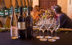 Scott Harvey Wines Wine Club Dinner Event at the Winery Winery Image