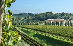 Lamberti Prosecco Extra Dry