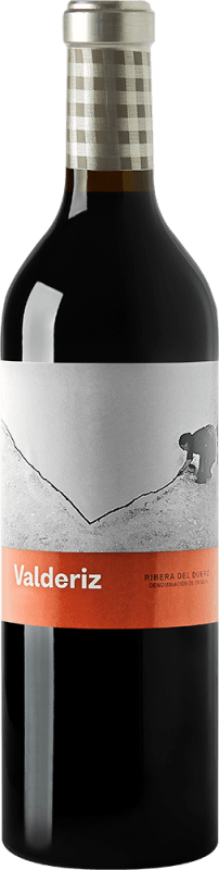 Bodegas Valderiz Ribera del Duero 2021 Front Bottle Shot