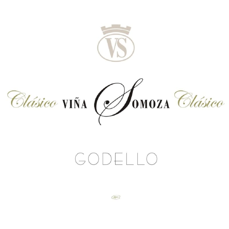 Bodegas Y Vinedos Vina Somoza Godello Classico 2007 Front Label