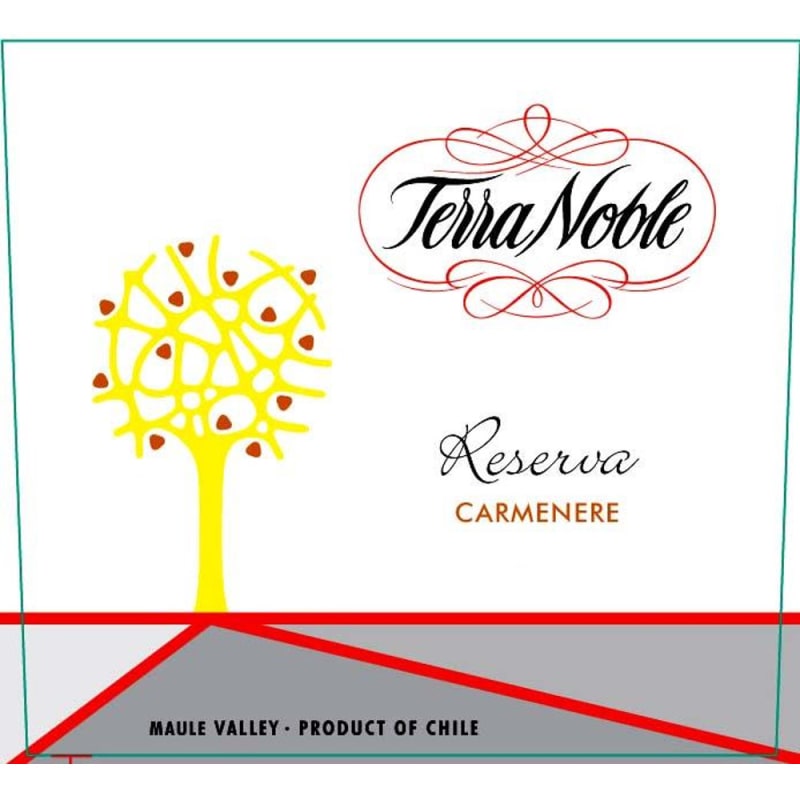TerraNoble La Higuera Reserva Carmenere 2007 Front Label