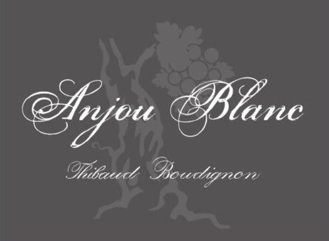 Chateau Soucherie Thibaud Boudignon Anjou Blanc 2013 Front Label