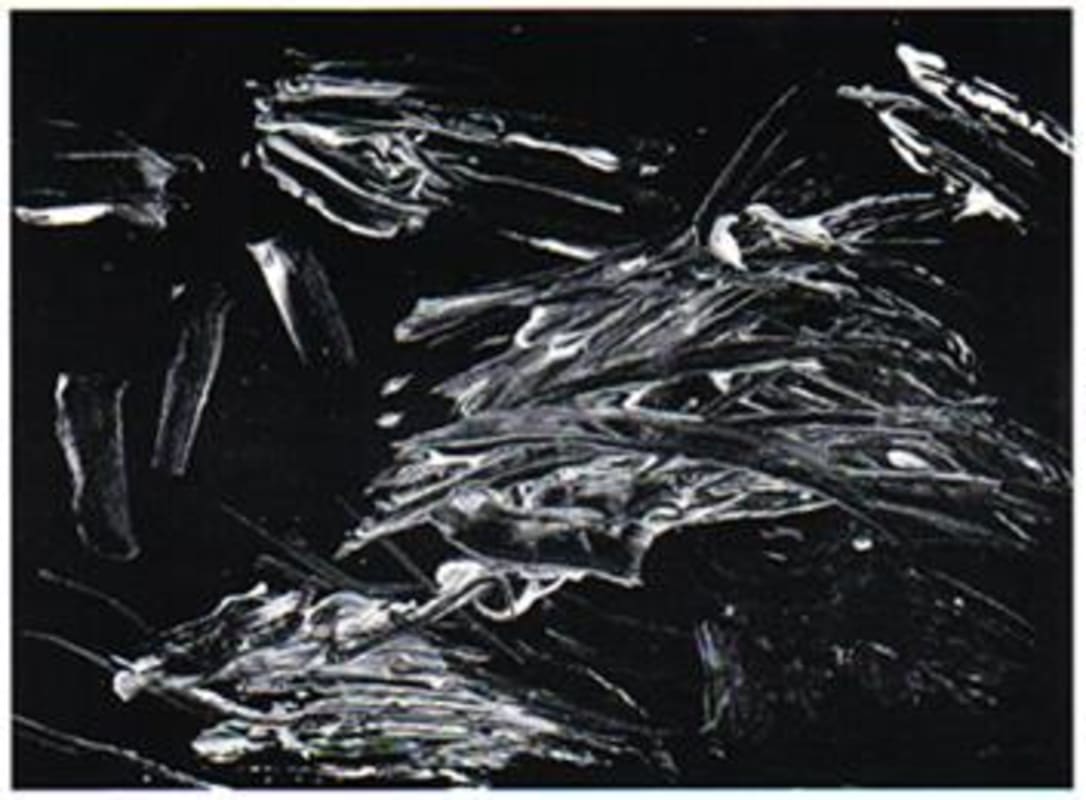 Jean-Michel Stephan Cote Rotie Coteaux de Tupin 2006 Front Label